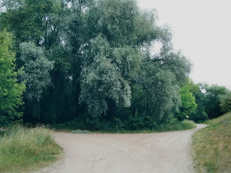 Choosing the right therapy A country path splitting in two directions, representing choosing between hypnotherapy, NLP, EFT, Reiki and counselling